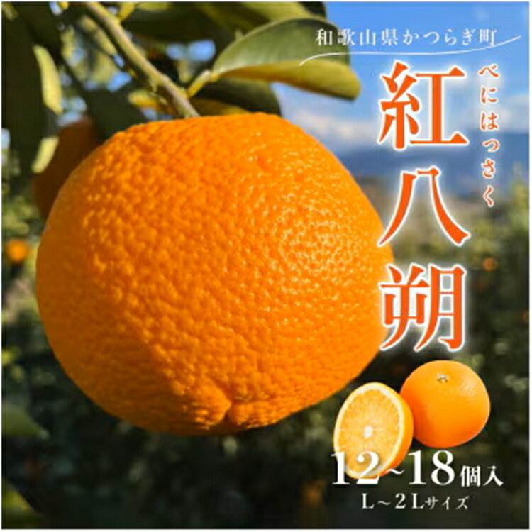 先行予約!紅 はっさく 約5kg/12～18個入り(L～2Lサイズ)こだわり 農家 厳選! ｜柑橘 八朔 フルーツ 果物 和歌山県 美浜町※2026年1月下旬～2月下旬頃より順次発送予定