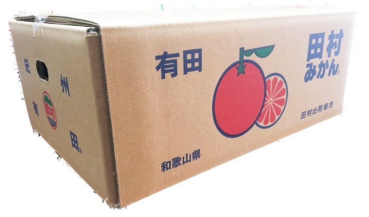 【ふるさと納税】【先行予約】高級ブランド田村みかん 5kg◇ ふるさと納税 みかん｜ 蜜柑 柑橘 果物 フルーツ 糖度 甘い 濃厚 コク ジューシー 先行予約 みかん 国産 産地直送 人気 美浜町 - 画像3