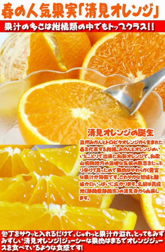 【ふるさと納税】【ご家庭用訳アリ】紀州有田産清見オレンジ　5kg※2026年3月下旬頃〜2026年4月中旬頃に順次発送予定 サムネイル3