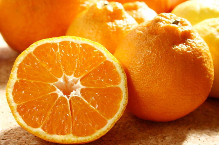 【ふるさと納税】【濃厚】有田の不知火約5kg（12玉～20玉）※2026年2月中旬～4月中旬頃に順次発送予定 サムネイル2