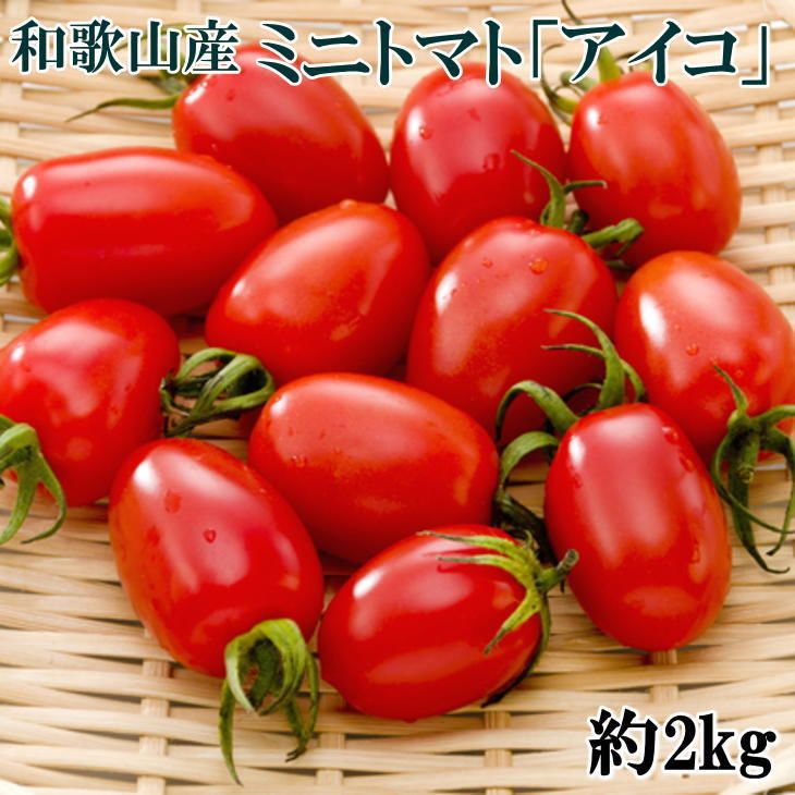【選べる発送月】和歌山産ミニトマト「アイコトマト」約2kg（S・Mサイズおまかせ）