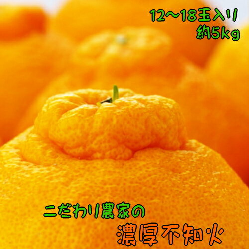 【先行予約】こだわり農家の濃厚不知火（デコポンと同品種） 12～18玉（約5kg）※2026年2月上旬～3月下旬頃に順次発送予定 ※北海道・沖縄・離島への配送不可