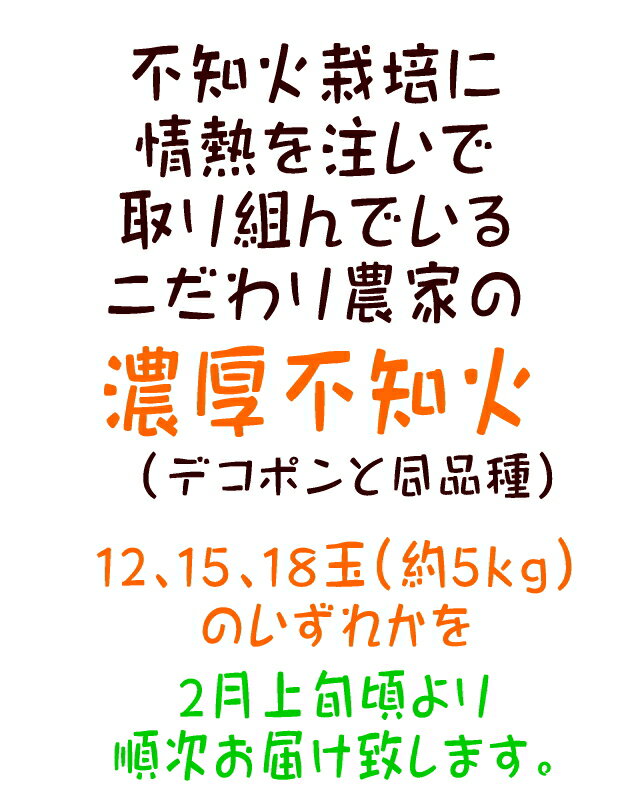【ふるさと納税】【先行予約】こだわり農家の濃厚不知火（デコポンと同品種） 12～18玉（約5kg）※2026年2月上旬～3月下旬頃に順次発送予定 ※北海道・沖縄・離島への配送不可 サムネイル3