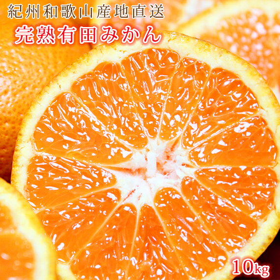 【先行予約】完熟有田みかん10kg｜ふるさと納税 ミカン