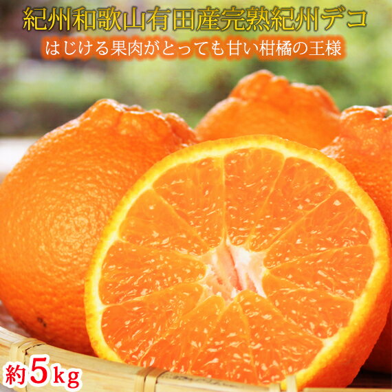 果肉プリプリ♪　完熟紀州デコ(不知火) 約5kg｜ 柑橘 不知火 デコポン みかん フルーツ 果物 旬 先行予約 でこぽん 国産 産地直送 完熟 一級品 美浜町※2026年2月下旬〜3月下旬頃に順次発送予定