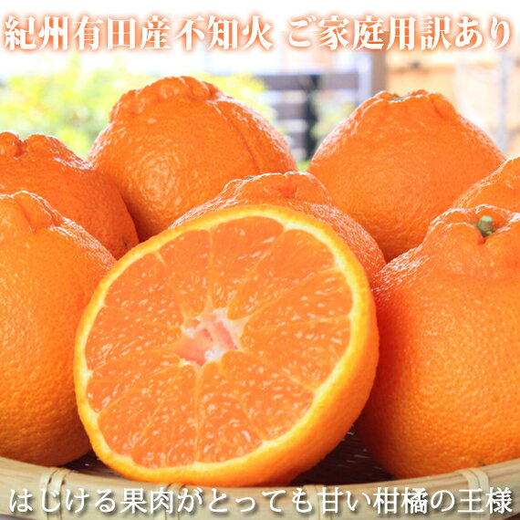 【ご家庭用訳有り】紀州有田産不知火(しらぬひ) 約8.5kg ※2026年2月中旬〜3月中旬頃に順次発送予定