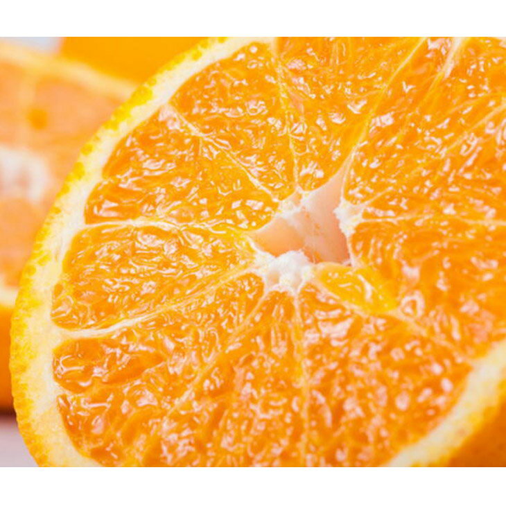 【先行予約】【農家直送】濃厚不知火（ご家庭用）約5kg ※2026年1月下旬～3月下旬頃に順次発送予定 ※北海道・沖縄・離島への配送不可