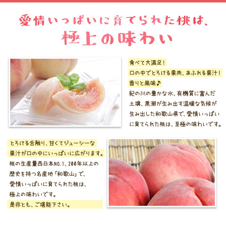 【ふるさと納税】【先行予約】【夏の美味】フルーツ王国 和歌山の桃 約2kg 化粧箱入り | もも モモ 桃 国産 フルーツ 果物 果実 先行予約 お取り寄せ ギフト デザート スイーツ 贈り物（fr-06） サムネイル3