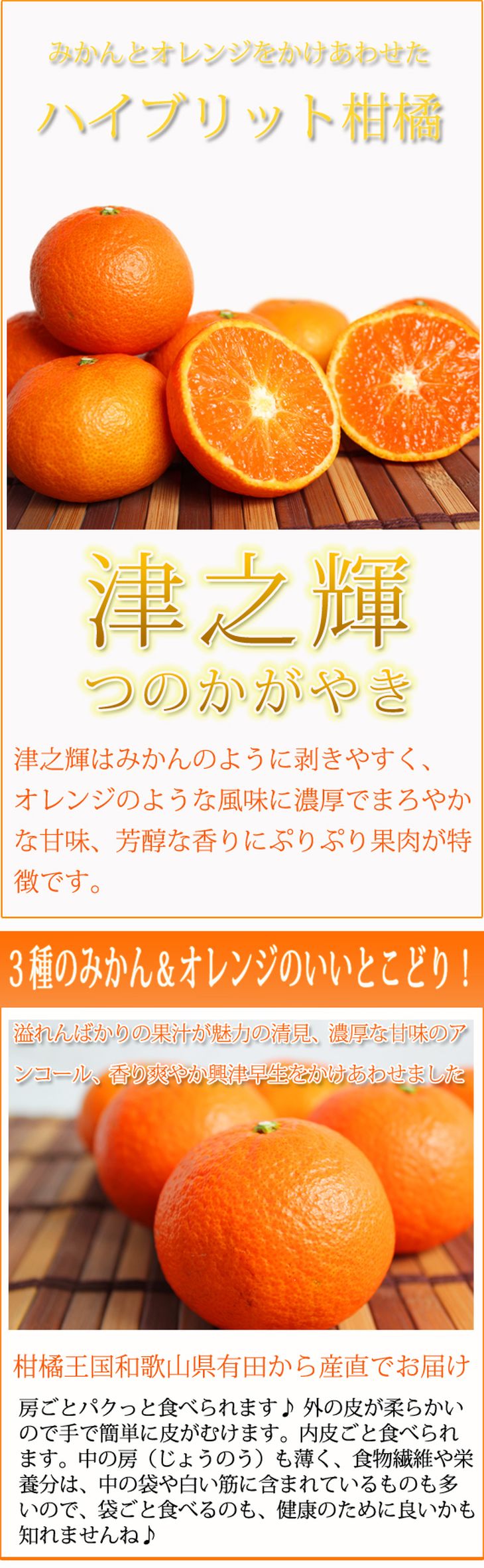 【ふるさと納税】津之輝(つのかがやき) 5kg ※2026年2月上旬〜2月下旬頃に順次発送予定 サムネイル2