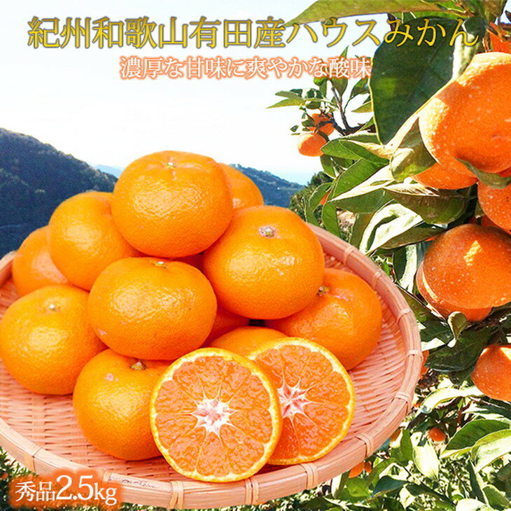 紀州和歌山有田産ハウスみかん 2.5kg 化粧箱入 ふるさと納税 ミカン ※2026年7月上旬〜7月下旬頃に順次発送予定