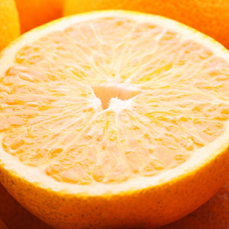 ＜1月より発送＞ 選べる内容量 厳選はっさく （傷み補償あり） ｜ 八朔みかん ハッサク ※北海道・沖縄・離島への配送不可 ※2026年1月上旬～3月下旬頃に順次発送予定 ◇