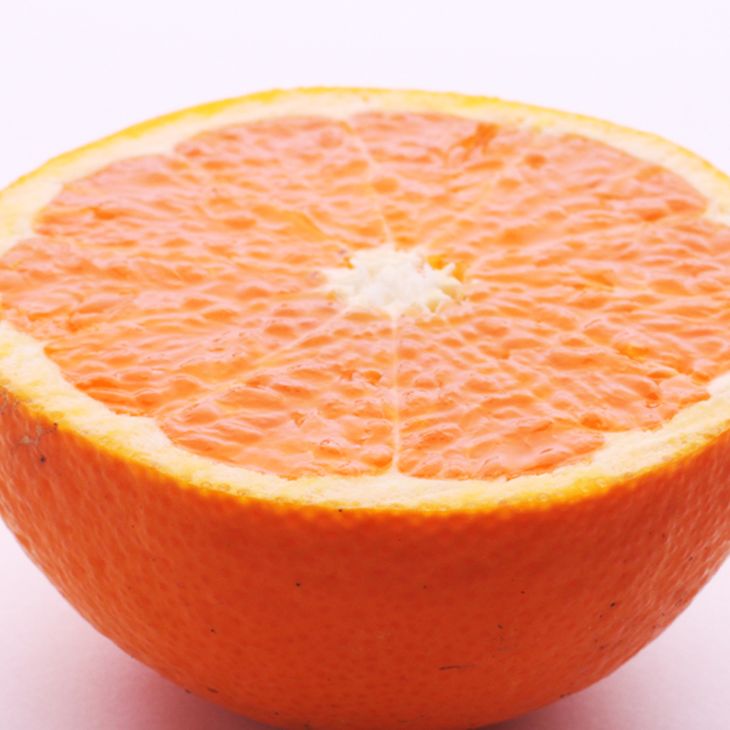 【ふるさと納税】＜2月より発送＞選べる内容量 厳選 清見オレンジ◇【光センサー食頃出荷】【樹上完熟きよみオレンジ・清見タンゴール・清美】 ※2026年2月上旬～3月下旬頃に順次発送予定 ※北海道・沖縄・離島への配送不可 サムネイル2