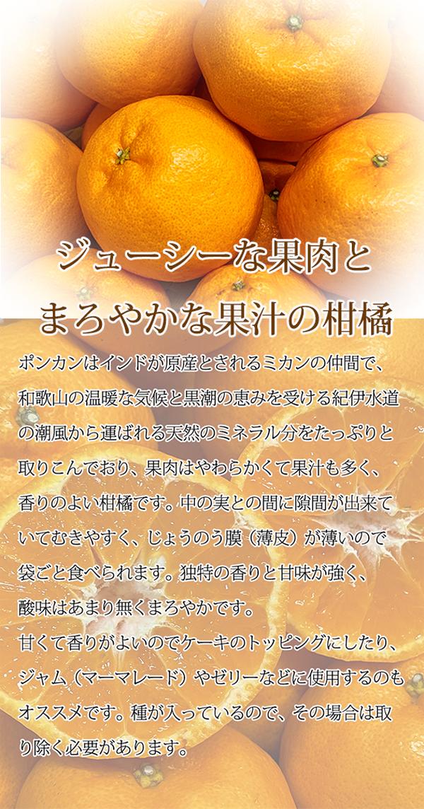 【ふるさと納税】紀州和歌山有田産ポンカン 5kg ※2026年2月上旬〜2月下旬頃に順次発送予定 サムネイル2