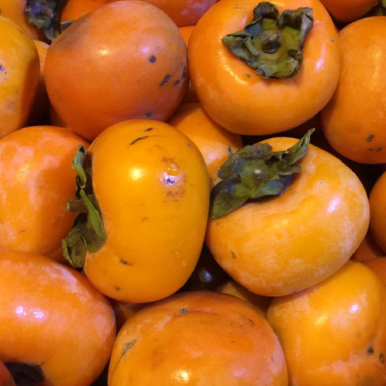 【ふるさと納税】【秋の味覚】和歌山産のたねなし柿ご家庭用約7.5kg◇ サムネイル2