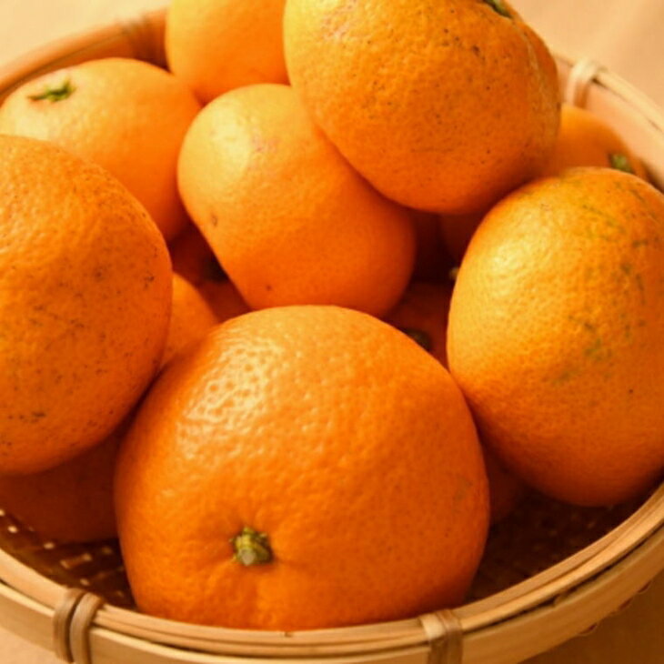 【ふるさと納税】［訳あり］和歌山有田みかん約5kg（S～Lサイズいずれかお届け）｜わけあり 産地直送 ご自宅用 柑橘 果物 フルーツ ふるさと納税 ミカン ※2025年11月中旬～2026年1月中旬頃に順次発送予定 サムネイル3