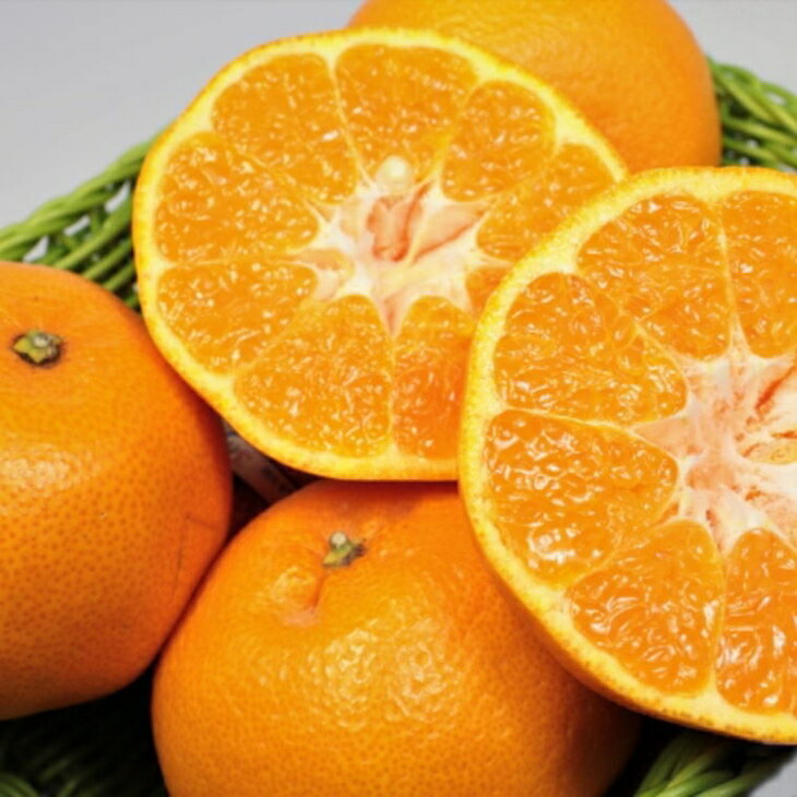 【ふるさと納税】【厳選・濃厚】紀州有田産のはるみ約5kg（Lサイズ）｜柑橘 果物 フルーツ 産地直送 大きい ※2026年1月下旬～2月中旬頃に順次発送予定 サムネイル3