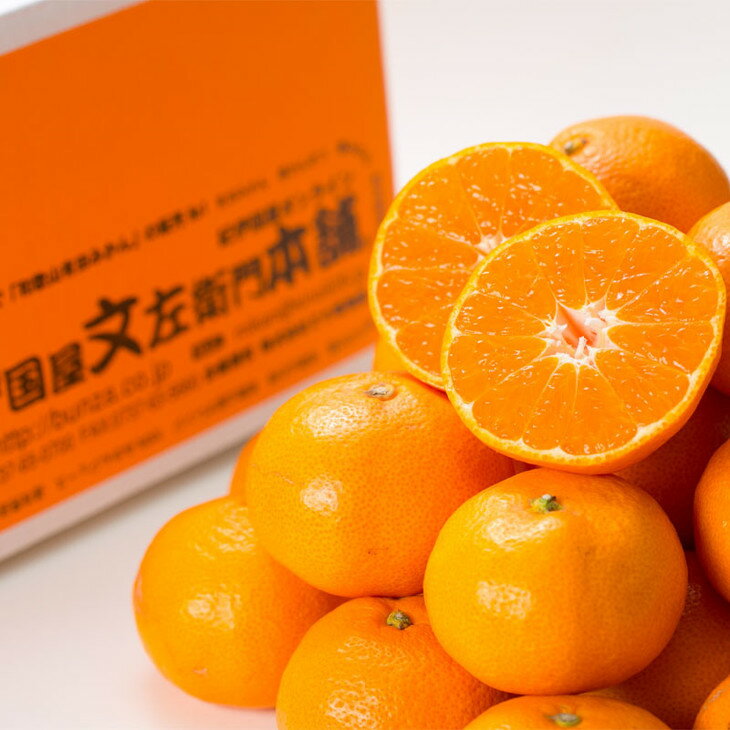 【ふるさと納税】ブランド有田みかん【M】秀品10kg ｜ 産地直送 薄皮 甘い 美味しい 和歌山県産/紀伊国屋文左衛門本舗 ふるさと納税 ミカン ※2025年11月上旬～2026年1月中旬頃に順次発送予定 サムネイル3