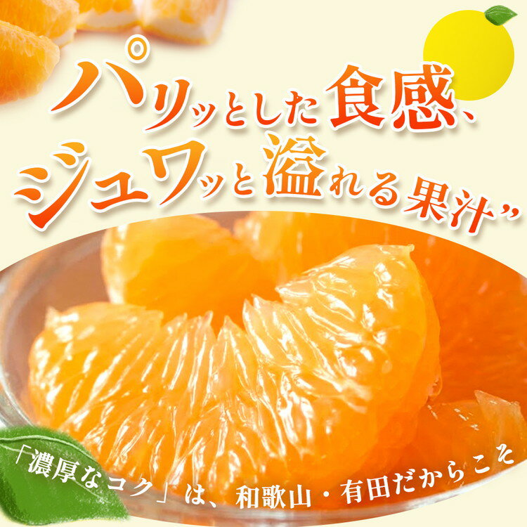 【ふるさと納税】＜1月より発送＞ 選べる内容量 家庭用 はっさく （傷み補償あり） ｜ 八朔みかん わけあり 訳あり ワケアリ ◇ - 画像2