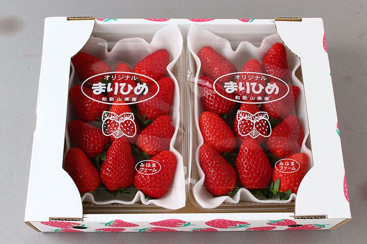 【ふるさと納税】【ご家庭用（簡易包装）】和歌山県産まりひめ 1箱 (2パック入り)【2026年2月お届け】※離島への配送不可※2026年2月上旬～2月下旬頃に順次発送予定 サムネイル2