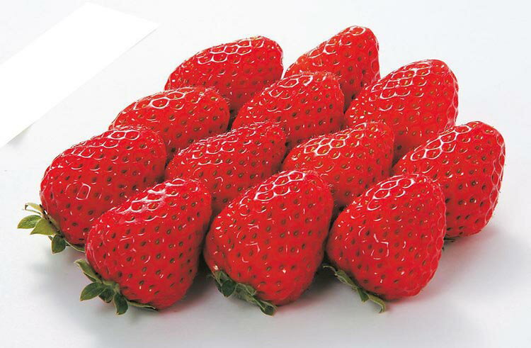 【ふるさと納税】〈定期便〉【2・7・8月 全3回】和歌山厳選フルーツ（いちご・桃・シャインマスカット ） ◇｜フルーツ ふるーつ 果物 くだもの 詰め合わせ 果物定期便 マスカット 国産 産地直送 美浜町※離島への配送不可 サムネイル2