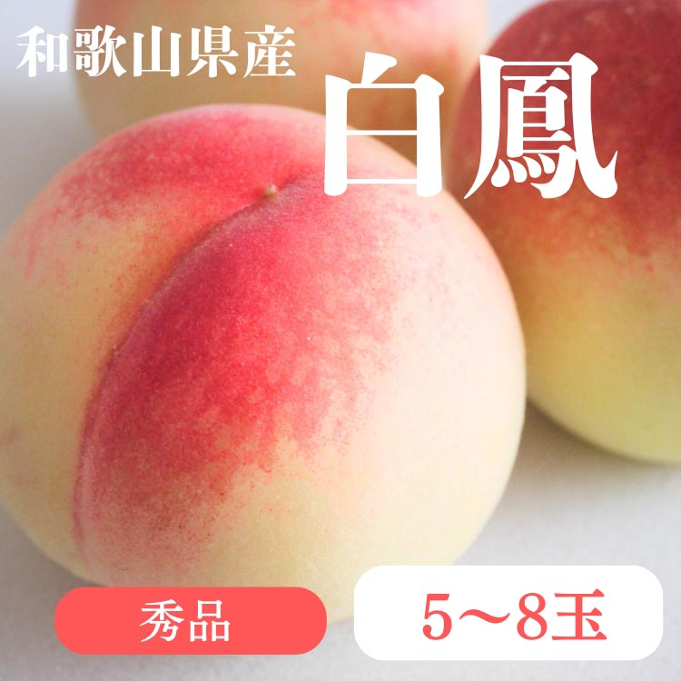 和歌山県産 白鳳 桃 5～8玉入り 秀品 先行予約 | 和歌山県 白鳳 フルーツ 果物 くだもの 桃 もも 大玉 モモ ピーチ ギフト お取り寄せ 贈答用 秀 家庭用 自宅用 贈答品 化粧箱入