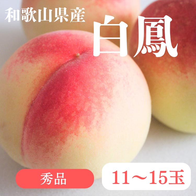 和歌山県産 白鳳 桃 11～15玉入り 秀品 先行予約 | 和歌山県 白鳳 フルーツ 果物 くだもの 桃 もも 大玉 モモ ピーチ ギフト お取り寄せ 贈答用 秀 家庭用 自宅用 贈答品 化粧箱入