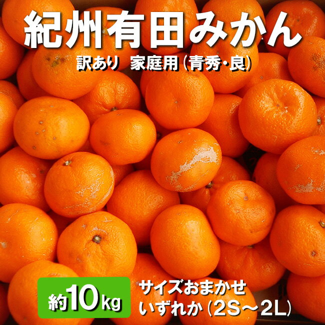紀州有田みかん　約10kg (2S～2L) サイズおまかせ いずれか【訳あり 家庭用】