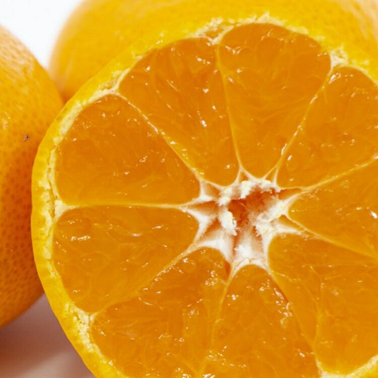 【ふるさと納税】和歌山由良みかん 約5kg 訳あり キズ 御家庭用 サイズ混合｜みかん ミカン 和歌山 由良 おまかせ フルーツ 果物 柑橘 和歌山県産 お取り寄せ ふるさと納税 返礼品 ※2025年11月下旬～2026年1月中旬頃に順次発送予定 ※北海道・沖縄・離島への配送不可 サムネイル3