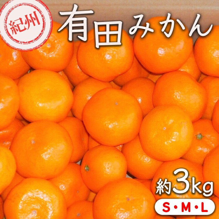 紀州有田みかん 約3kg サイズ (L・М・S) ｜みかん ミカン 和歌山 由良 フルーツ 果物 柑橘 和歌山県産 お取り寄せ 人気 ※2025年11月下旬～2026年1月中旬頃に順次発送予定