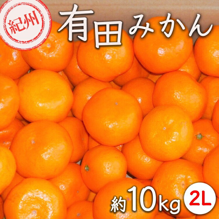 紀州有田みかん 約10kg サイズ (2L) ｜みかん ミカン 和歌山 由良 フルーツ 果物 柑橘 和歌山県産 お取り寄せ 人気 ※2025年11月下旬～2026年1月中旬頃に順次発送予定