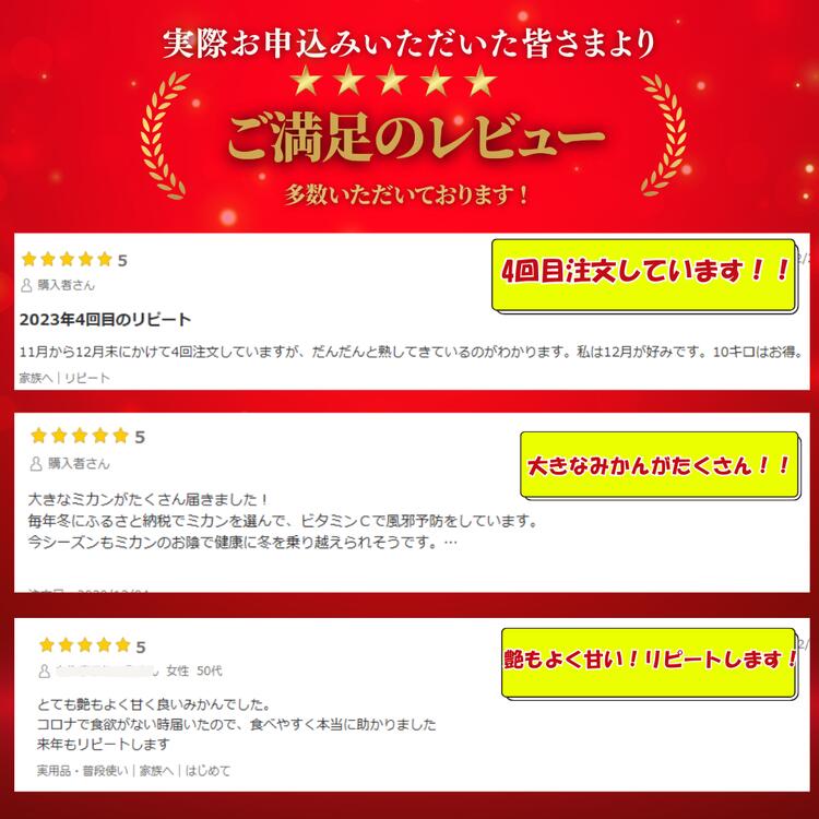 【ふるさと納税】【ご家庭用】 有田みかん 選べる サイズ 内容量 〇 │ みかん フルーツ 果物 柑橘 ※北海道・沖縄・離島への配送不可 ※2025年11月上旬～2026年1月下旬頃に順次発送予定 サムネイル2