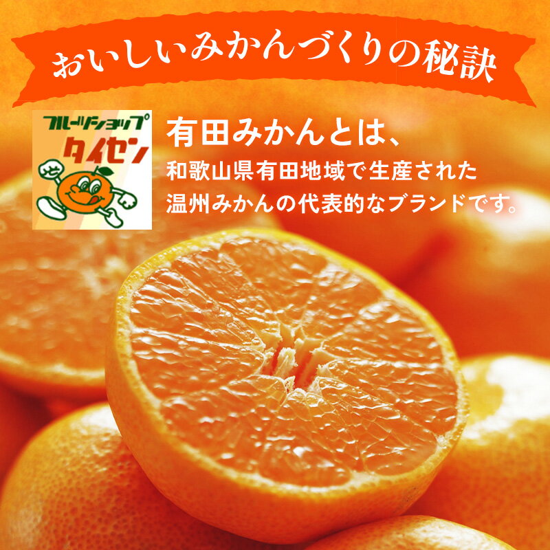 【ふるさと納税】【ご家庭用】 有田みかん 選べる サイズ 内容量 〇 │ みかん フルーツ 果物 柑橘 ※北海道・沖縄・離島への配送不可 ※2025年11月上旬～2026年1月下旬頃に順次発送予定 サムネイル3