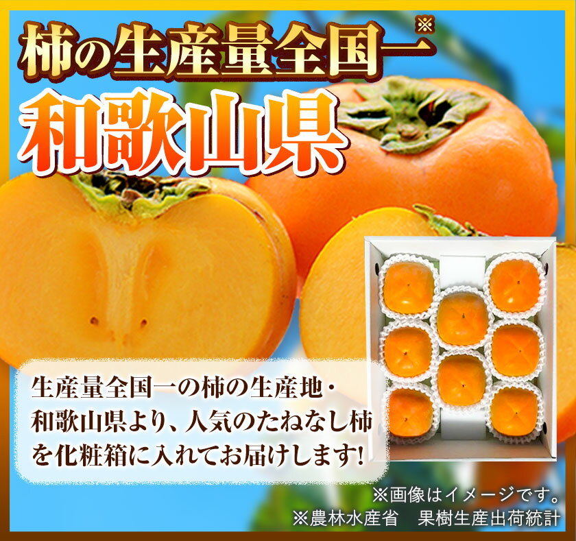 【ふるさと納税】◆2026年先行予約◆ 【秋の味覚】和歌山産のたねなし柿2L〜4Lサイズ約2kg（化粧箱入り）《2026年9月上旬-11月上旬頃出荷予定》 和歌山県 日高町 厳選館　かき 種なし 柿 果物 フルーツ 青果 サムネイル3
