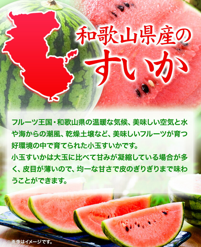 【ふるさと納税】和歌山県産 小玉すいか ひとりじめ7(セブン) 2玉入り 3.5kg以上 厳選館《2026年6月下旬-7月下旬頃出荷》 和歌山県 日高町 スイカ 西瓜 すいか サムネイル3