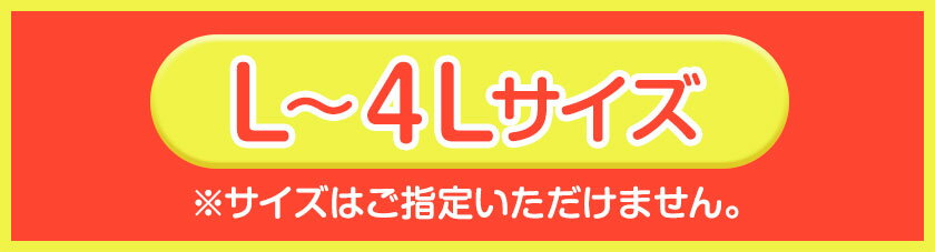 【ふるさと納税】【産直】和歌山由良町産の木成り熟成 八朔 約 10kg（L~4Lサイズ）厳選館 《2026年3月中旬-5月中旬頃出荷》和歌山県 日高町 柑橘 八朔 熟成 はっさく ハッサク サムネイル3