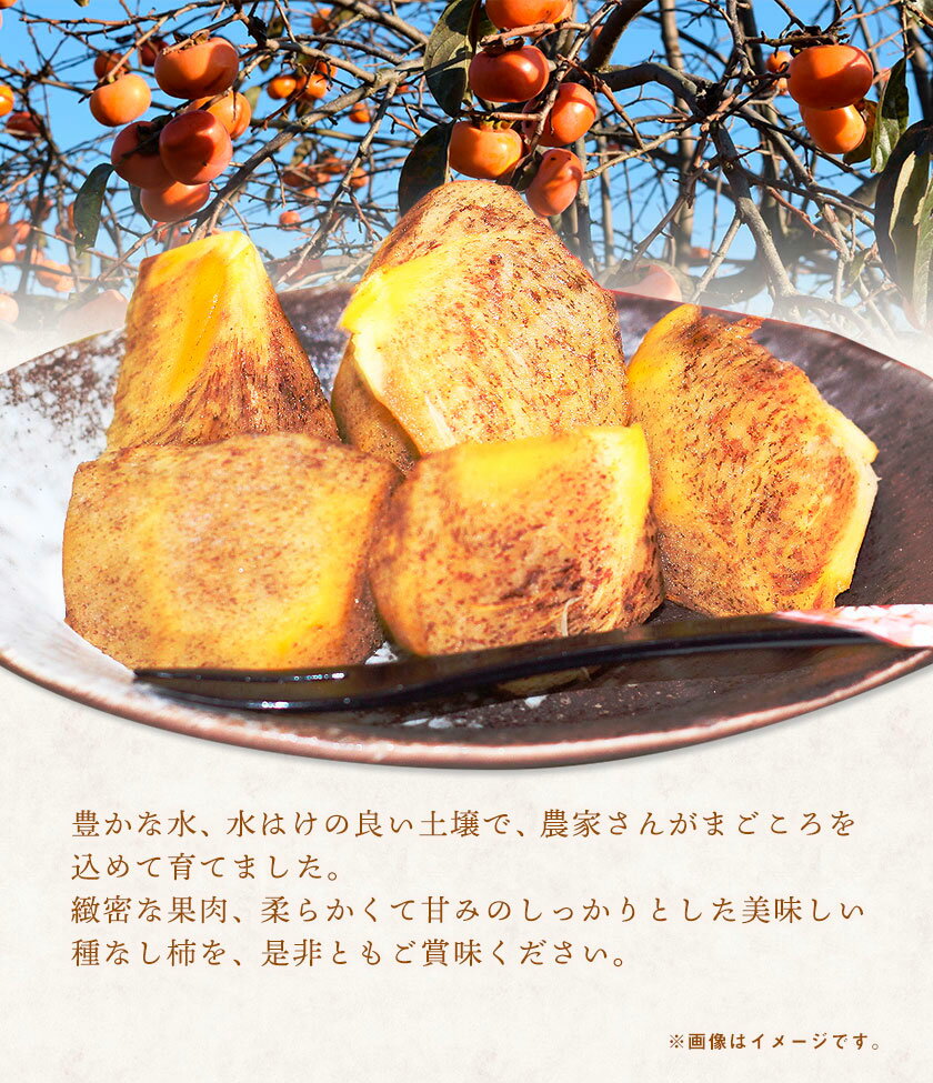 【ふるさと納税】【2026年先行予約】希少 紀の川柿 約3.5~4kg（種無し） 秀選品 (玉数おまかせ) 厳選館 《2026年11上旬-11月中旬頃出荷》 和歌山県 日高町 柿 カキ かき ジューシー フルーツ 青果 果物 サムネイル3