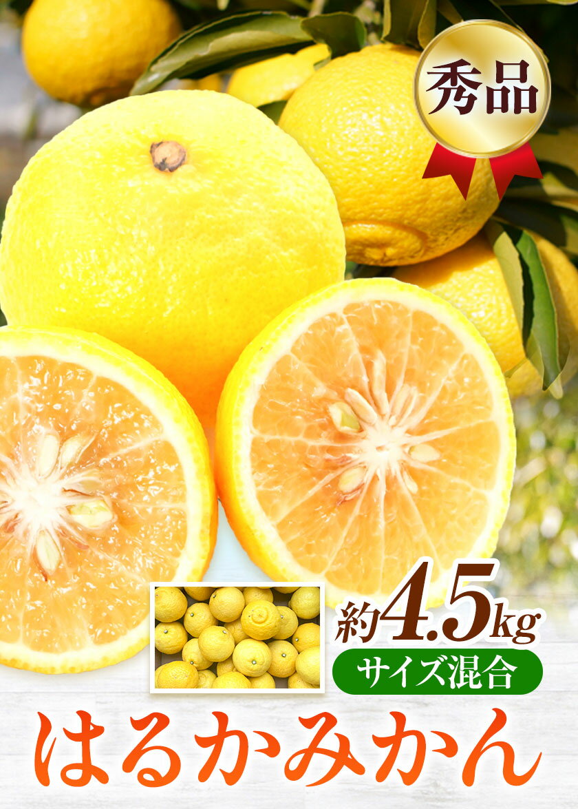 【ふるさと納税】【先行予約】【さわやか柑橘】秀品 和歌山県産 はるかみかん 約4.5kg（サイズ混合） 日高町厳選館 《2026年2月中旬-4月中旬頃出荷》和歌山県 日高町 みかん はるみ 柑橘 フルーツ 果物 サムネイル2
