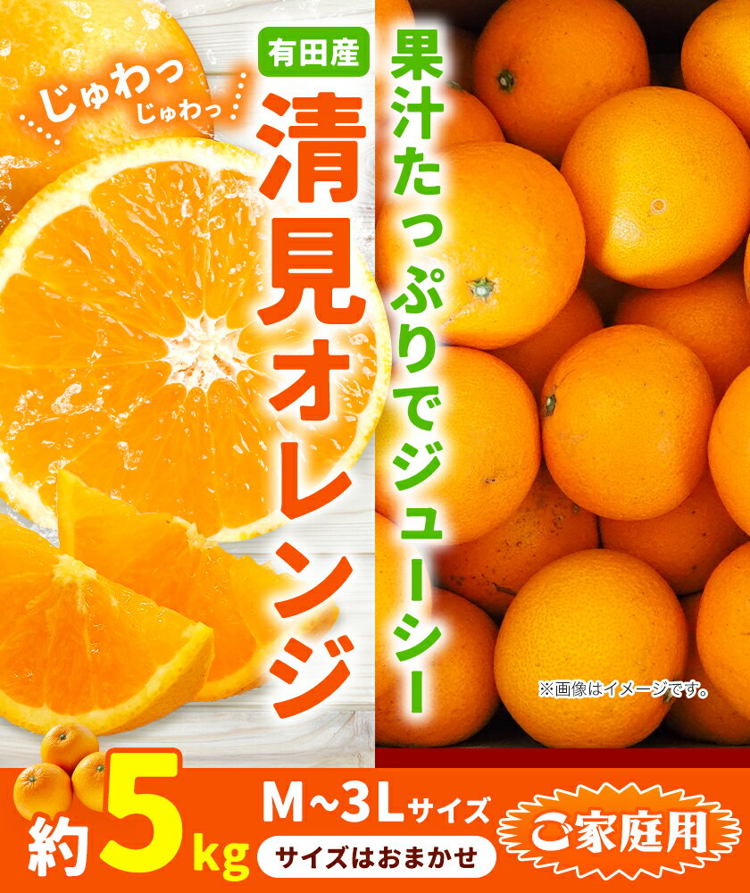 【ふるさと納税】【濃厚】ご家庭用 有田産 清見 オレンジ約 5kg（M〜3Lサイズおまかせ） 日高町厳選館《2026年2月中旬-3月末頃より出荷予定》和歌山県 日高町 柑橘 果物 フルーツ 清見オレンジ サムネイル2