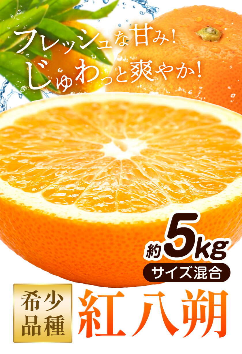 【ふるさと納税】みかん はっさく 紅八朔 和歌山県産 希少品種 約5kg サイズ混合 日高町厳選館《1月中旬-2月末頃出荷》和歌山県 日高町 送料無料 柑橘類 柑橘 オレンジ みかん 果物 フルーツ 青果 紅はっさく 八朔 サムネイル2