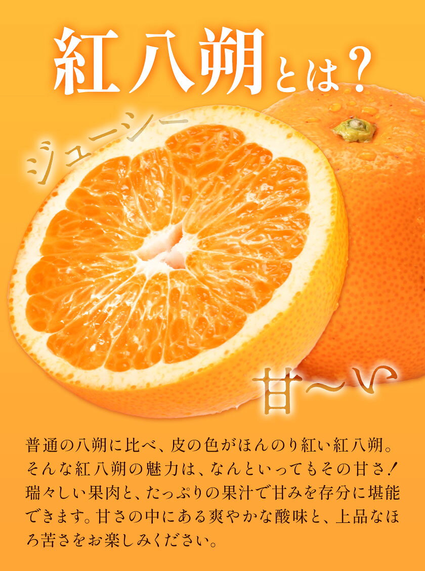 【ふるさと納税】みかん はっさく 紅八朔 和歌山県産 希少品種 約5kg サイズ混合 日高町厳選館《1月中旬-2月末頃出荷》和歌山県 日高町 送料無料 柑橘類 柑橘 オレンジ みかん 果物 フルーツ 青果 紅はっさく 八朔 サムネイル3