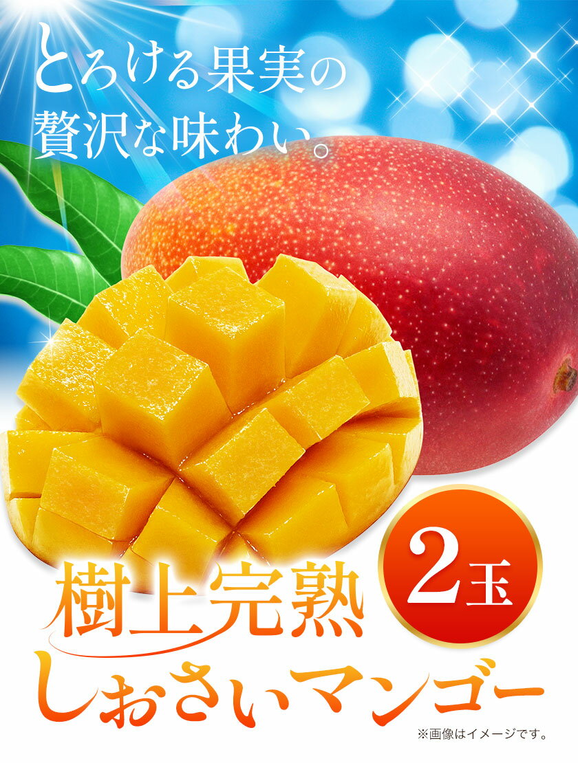 【ふるさと納税】マンゴー 果物 和歌山県産 樹上完熟しおさいマンゴー 2玉 《2026年7月下旬-9月中旬頃出荷》 日高町厳選館 和歌山県 日高町 フルーツ 完熟 送料無料 贈答 プレゼント ご褒美 青果物 サムネイル2