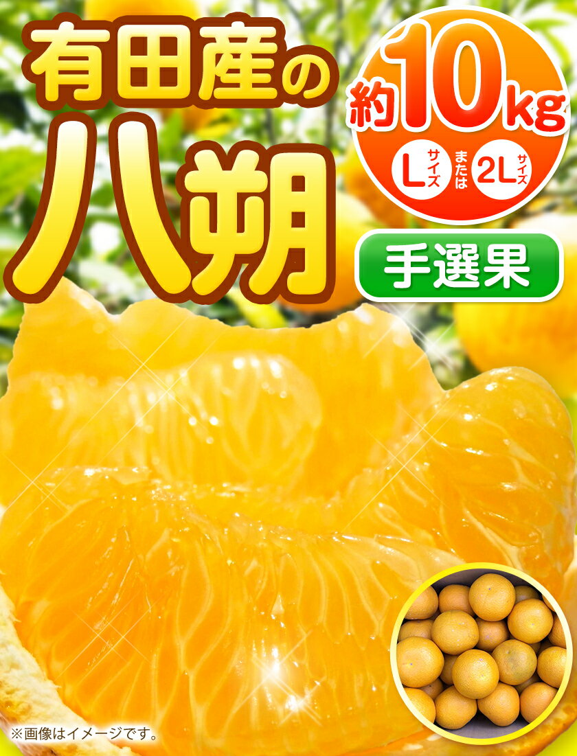 【ふるさと納税】【手選果】有田産の八朔 10kg（Lまたは2Lサイズいずれかお届け） 厳選館 《2026年1月下旬-2月下旬頃出荷》和歌山県 日高町 サムネイル2
