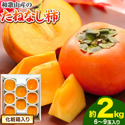◆2026年先行予約◆ 【秋の味覚】和歌山産のたねなし柿2L〜4Lサイズ約2kg（化粧箱入り）《2026年9月上旬-11月上旬頃出荷予定》 和歌山県 日高町 厳選館　かき 種なし 柿 果物 フルーツ 青果