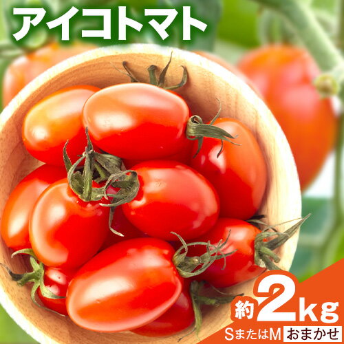 【先行予約4月出荷分】和歌山産 ミニ トマト アイコトマト 約 2kg SまたはMサイズ サイズおまかせ 厳選館 《2026年4月上旬-5月中旬頃出荷》 和歌山県 日高町 トマト とまと アイコトマト 送料無料 【配送不可地域あり】