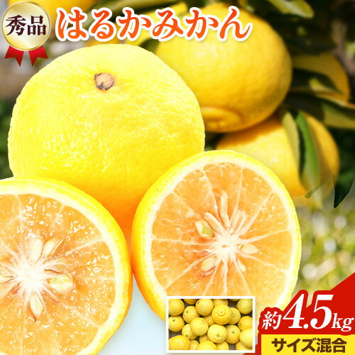 【先行予約】【さわやか柑橘】秀品 和歌山県産 はるかみかん 約4.5kg（サイズ混合） 日高町厳選館 《2026年2月中旬-4月中旬頃出荷》和歌山県 日高町 みかん はるみ 柑橘 フルーツ 果物