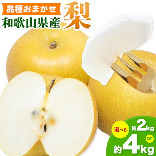 和歌山県産の 梨 選べる 約 2kg 約 4kg (品種おまかせ) 厳選館【先行予約】《2026年8月下旬-9月下旬頃出荷》和歌山県 日高町 果物 フルーツ 梨 なし ナシ 送料無料