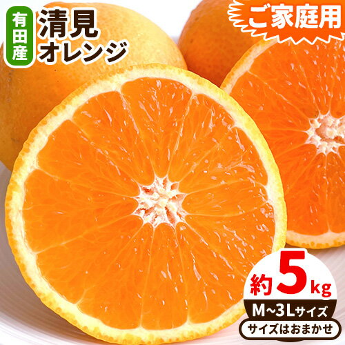 【濃厚】ご家庭用 有田産 清見 オレンジ約 5kg（M〜3Lサイズおまかせ） 日高町厳選館《2026年2月中旬-3月末頃より出荷予定》和歌山県 日高町 柑橘 果物 フルーツ 清見オレンジ