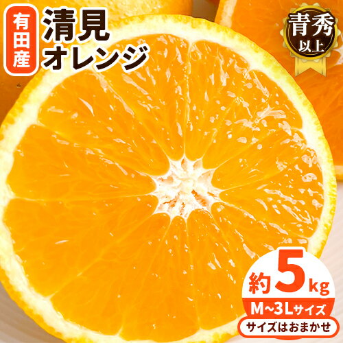 【濃厚】有田産 清見 オレンジ 約 5kg（M〜3Lサイズおまかせ）青秀以上 日高町厳選館《2026年2月中旬-3月末頃より出荷予定》和歌山県 日高町 柑橘 果物 フルーツ 清見オレンジ