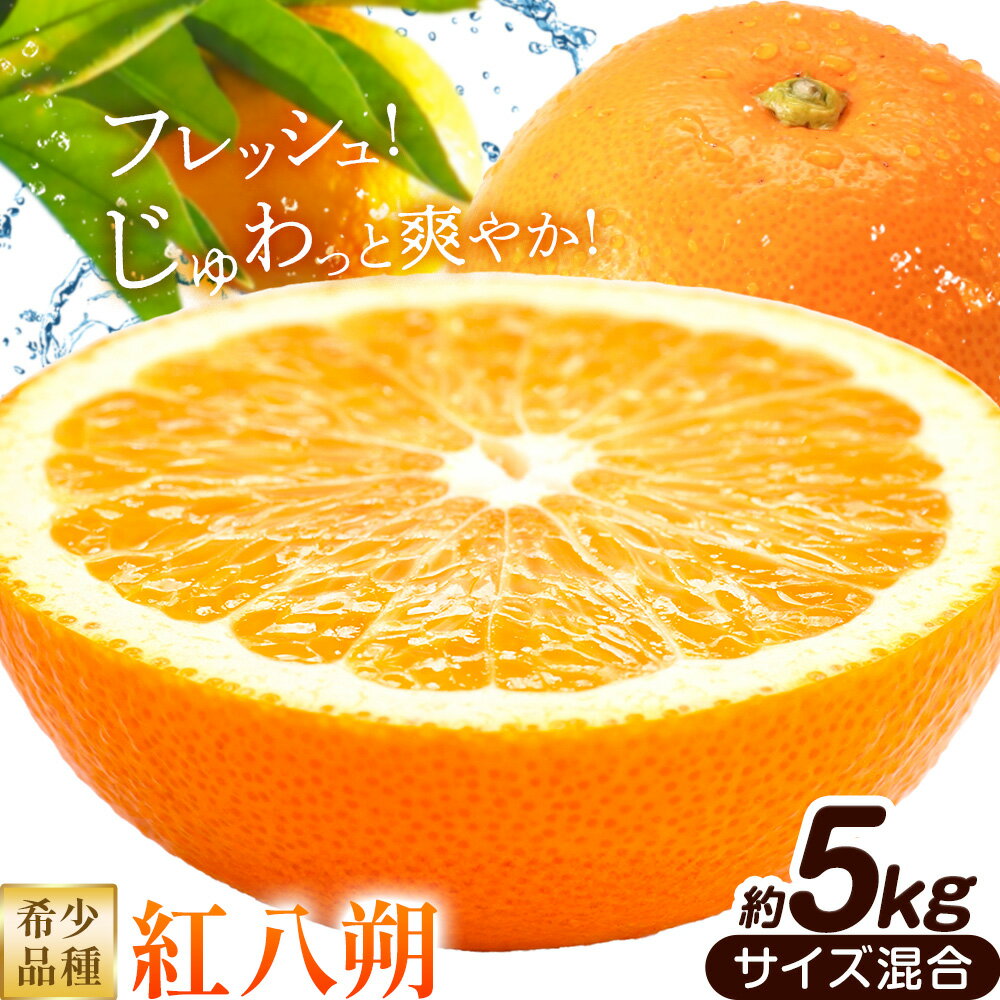 みかん はっさく 紅八朔 和歌山県産 希少品種 約5kg サイズ混合 日高町厳選館《1月中旬-2月末頃出荷》和歌山県 日高町 送料無料 柑橘類 柑橘 オレンジ みかん 果物 フルーツ 青果 紅はっさく 八朔