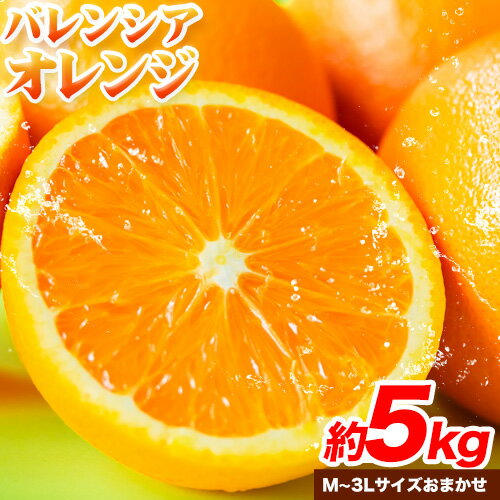 【先行予約】爽快 有田産バレンシアオレンジ 約5kg(M〜3Lサイズおまかせ) 厳選館 《2026年6月中旬-6月下旬頃出荷》和歌山県 日高町 オレンジ 柑橘 フルーツ 果物